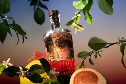 Santa-Ana-Pomelo-Gin.webp