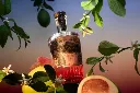 Santa-Ana-Pomelo-Gin.webp
