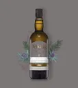 images - 2026-07-19T171450.357.webp