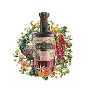 pomelo-illustration.webp