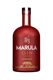 Marula Gin Pomme Grenade 40% 50cl — Gin Belge Rosé au Marula & Grenade