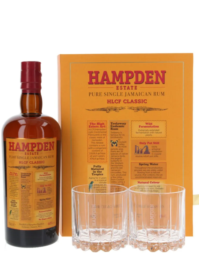HAMPDEN HLCF 60°+2 GLASSES