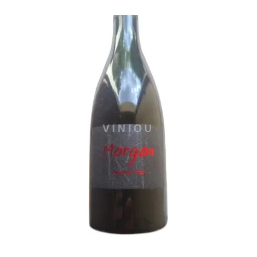 Domaine Mathon « Grand Gras » 2024 — AOC Morgon Rouge