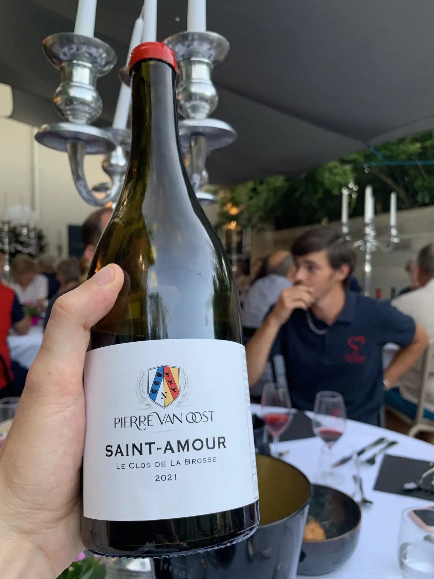 Domaine Van Oost "Le Clos de la Brosse" 2024 AOC Saint-Amour