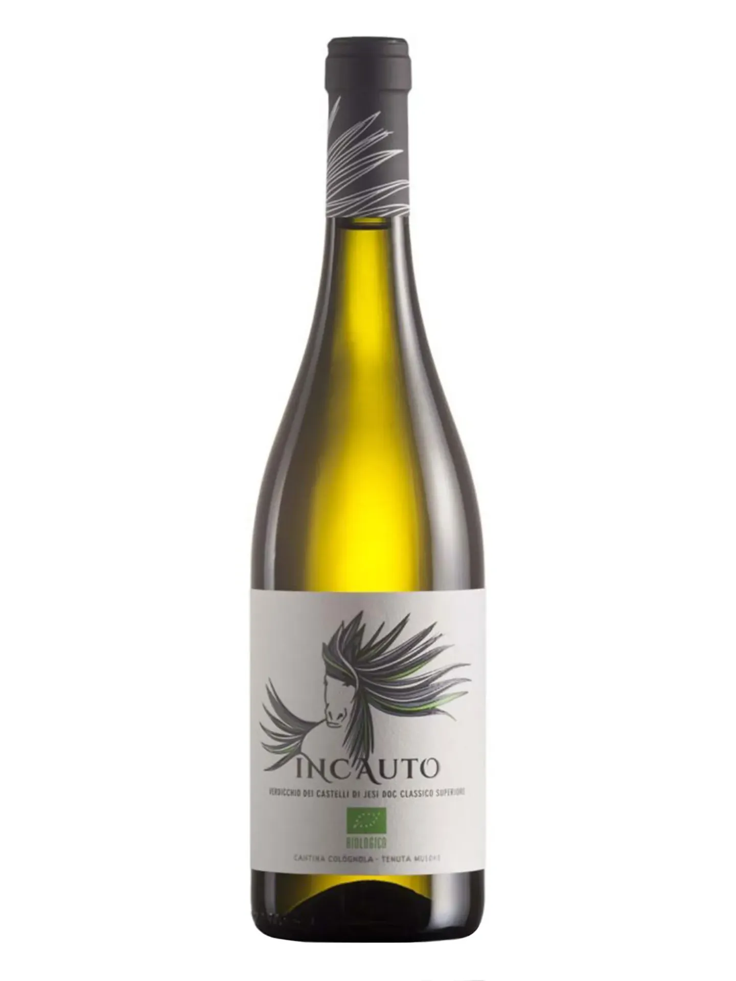Verdicchio  DEI CASTELLI DI JESI DOC Incauto BIO 2021 Tenuta Musone